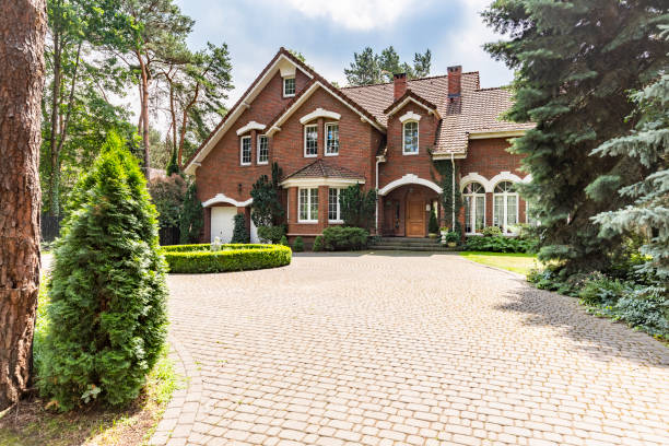 Best Driveway Paving Contractor  in Independence, MN